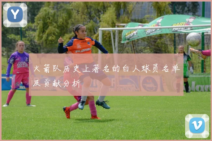 火箭队历史上著名的白人球员名单及贡献分析