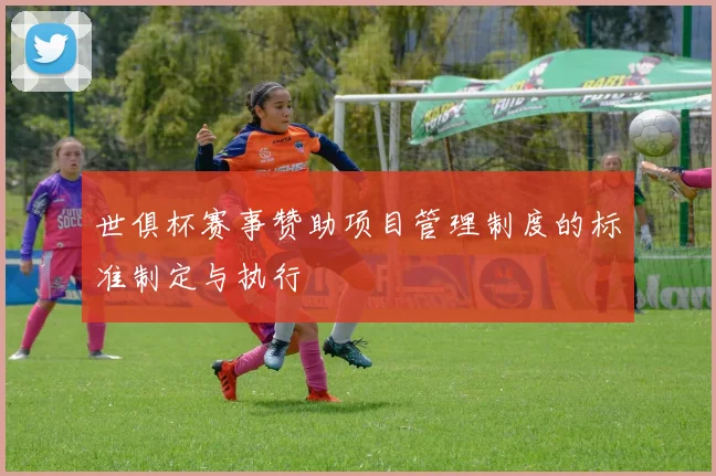 世俱杯赛事赞助项目管理制度的标准制定与执行
