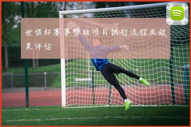 世俱杯赛事赞助项目执行流程及效果评估