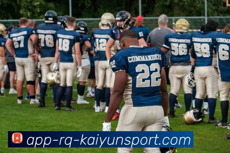 开云APPAPP 封面图